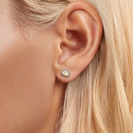 Aretes en Plata – Flores que Iluminan