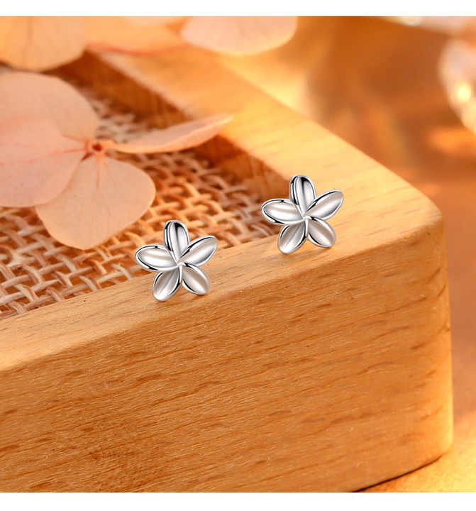Aretas Flor Eterna plata ley 925